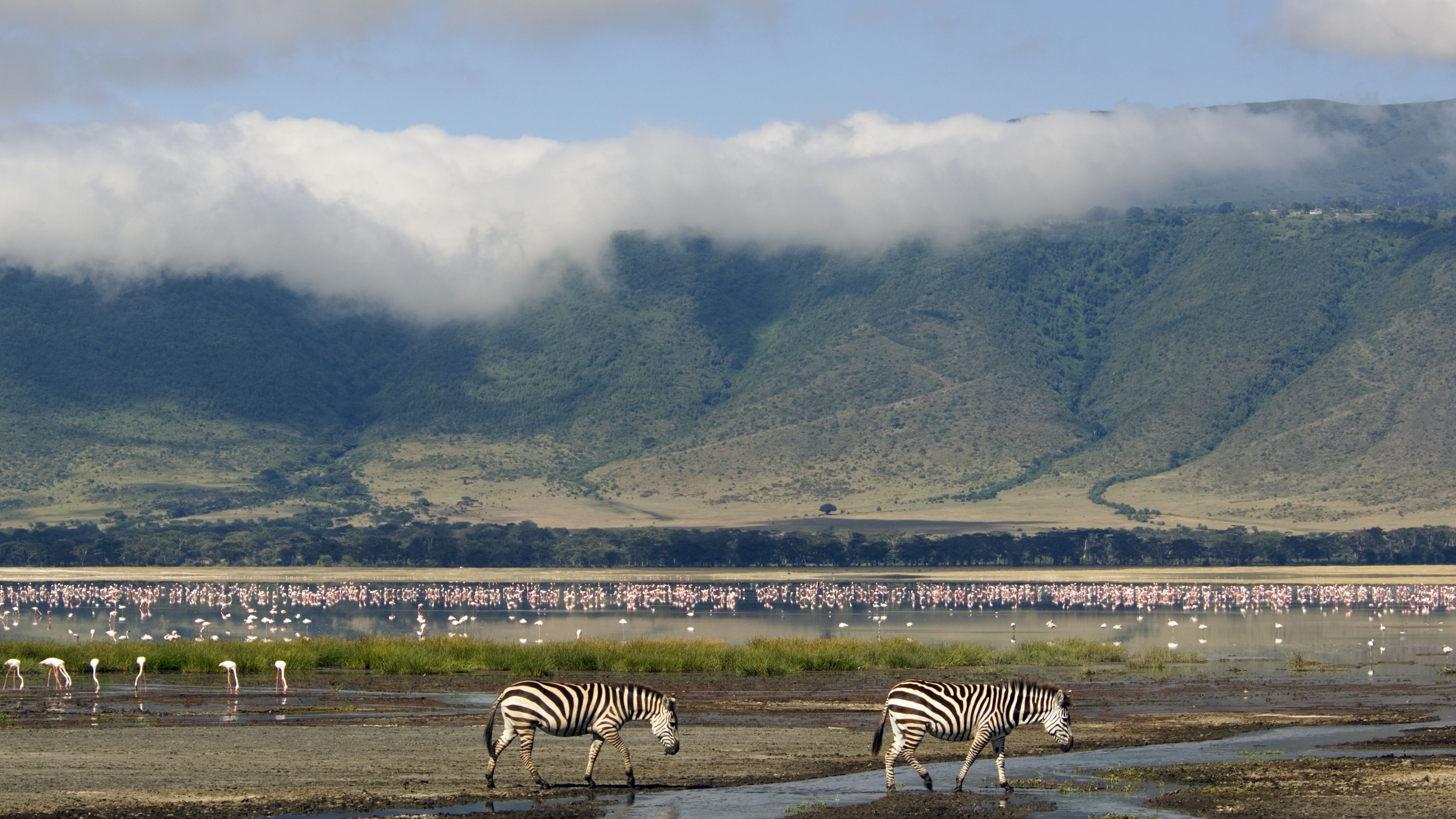 Ngorongoro, Tanzania