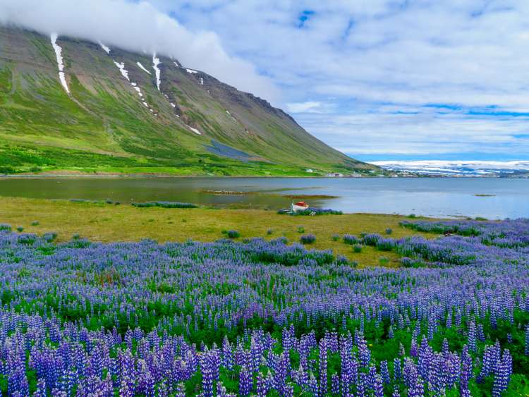 Ísafjörður, Iceland